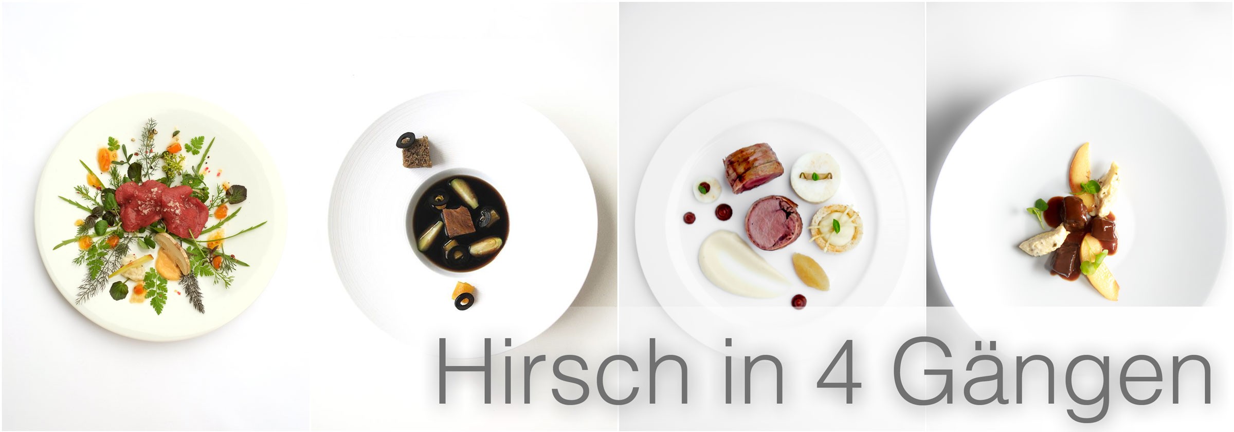 Hirsch-in-4-Gängen-4