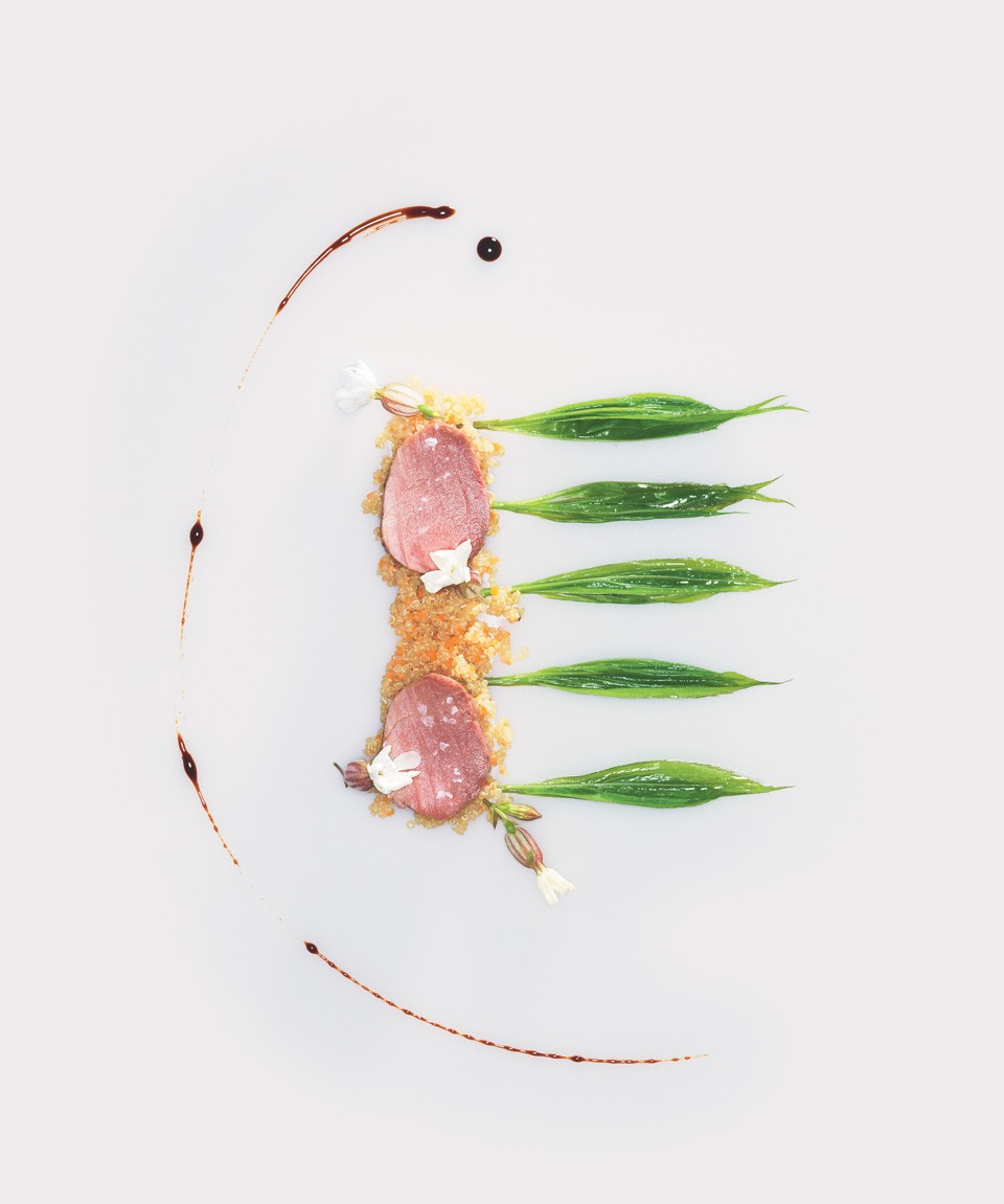 “Goldrute” | © René Riis