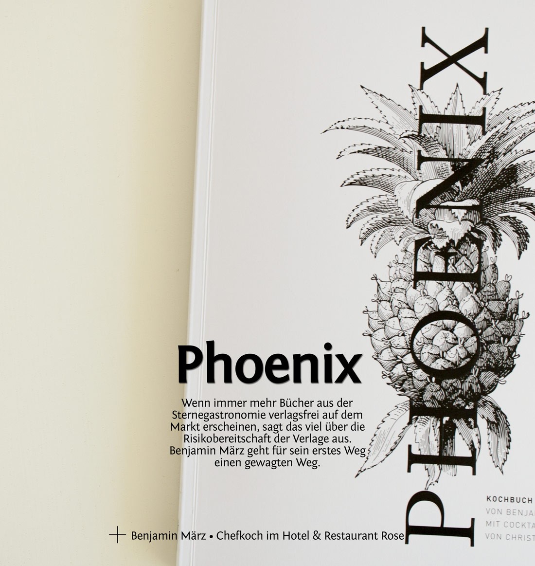 “Phoenix” – Eine Buchbesprechung