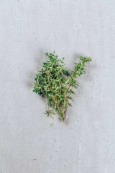 Le Creuset-4 Le Creuset