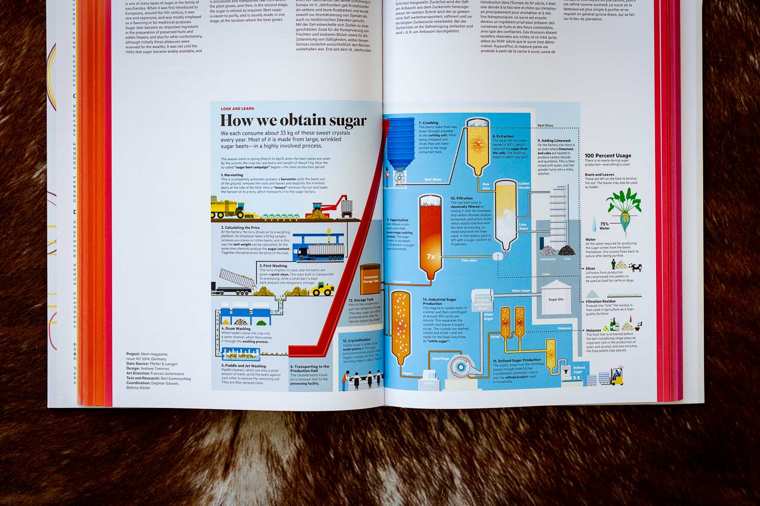 Food and Drinks Infographics