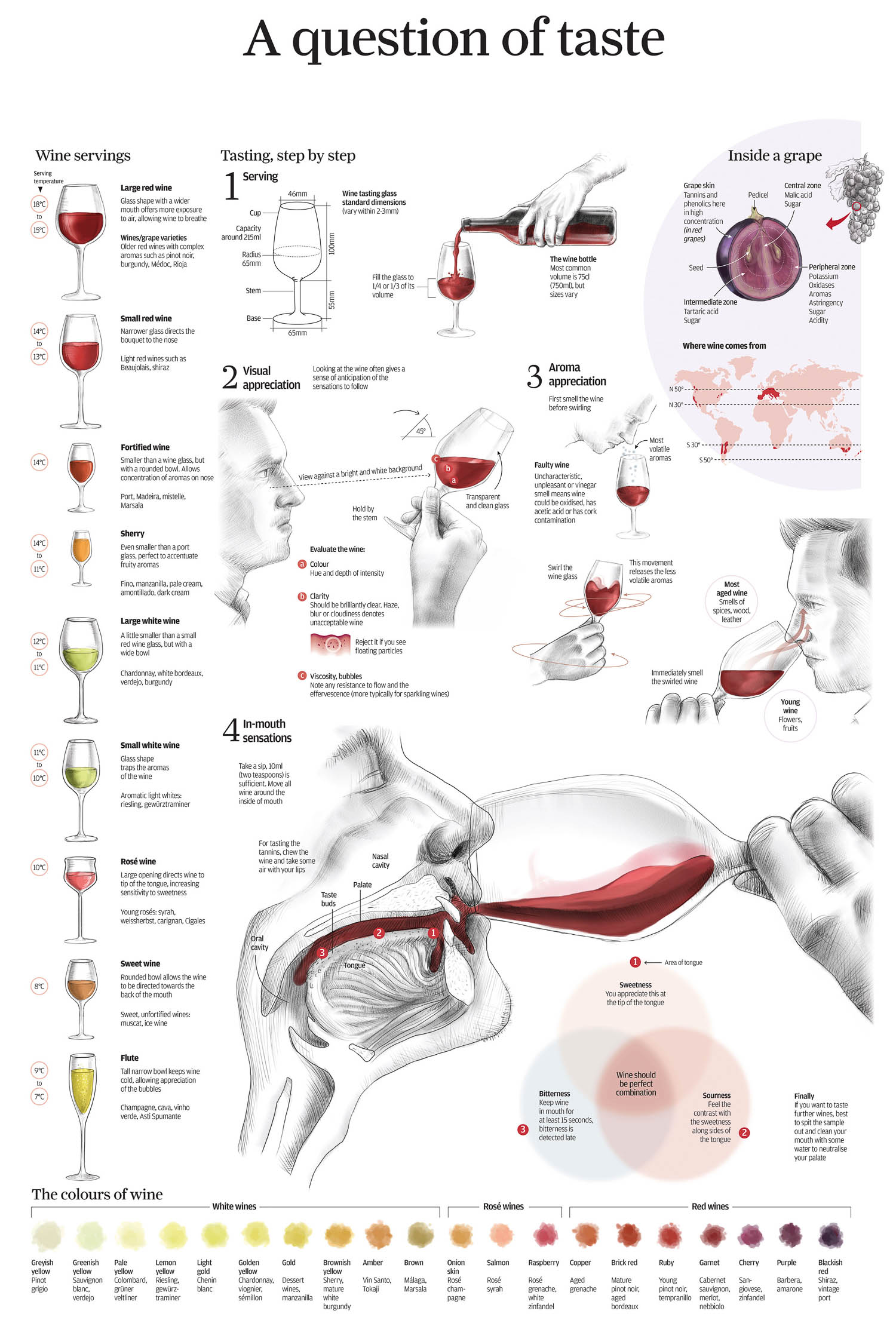 Food and Drinks Infographics