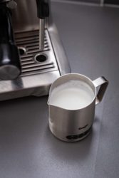 The Barista Express-17 The Barista Express