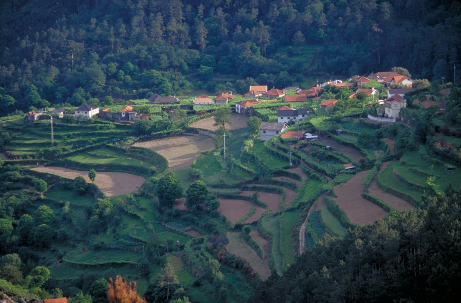 Great European Wines Festival by Vinho Verde