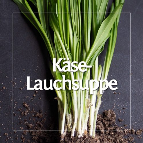 Käse- Lauchsuppe