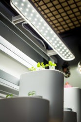 Pret a Pousser-12 Prêt à Pousser