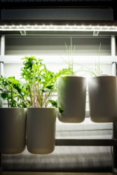 Pret a Pousser-16 Prêt à Pousser