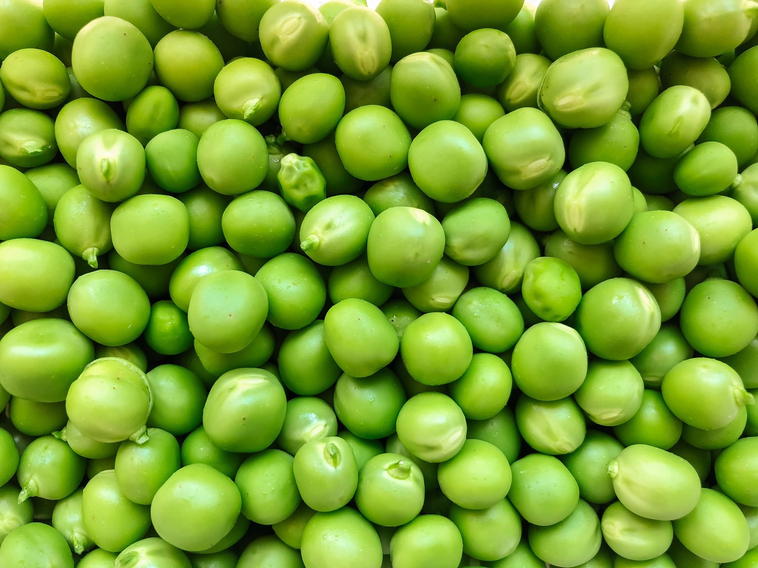 Erbsen