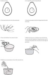 51XJNuHTWZL._AC_SL1112_ Avocado