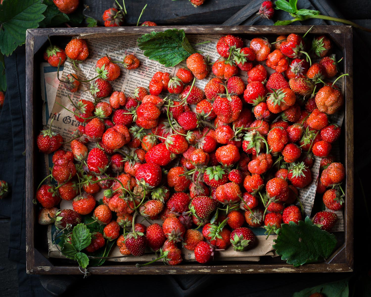 anna-tukhfatullina-food-photographer-stylist-ViYKjqmtiXU-unsplash Erdbeere