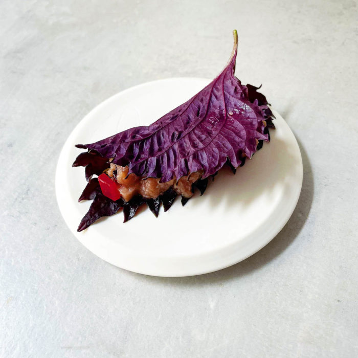 Shiso